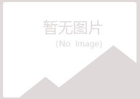 包头青山念波造纸有限公司